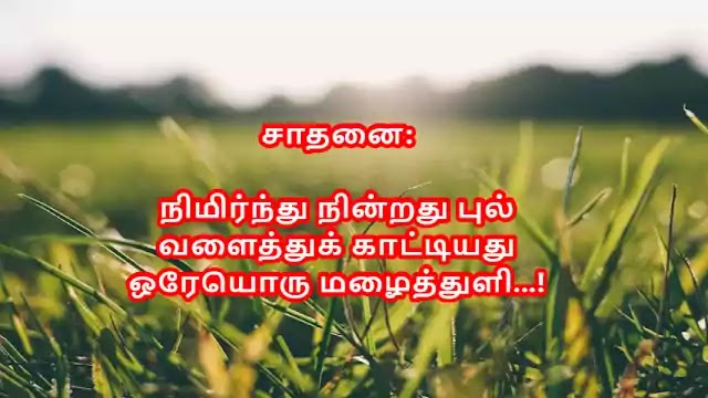 Tamil Haiku Kavithai 132