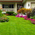 TIPS ON HOW TO RESEED A LAWN AND NECESSARY CARE FOR THE PERFECT LOOK