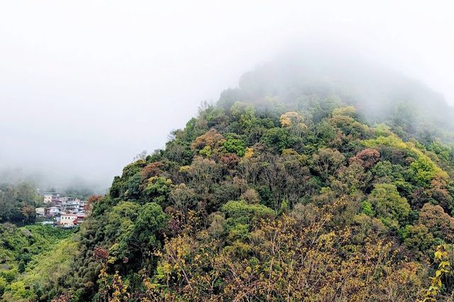 ✜ 里山能高賽德克｜春陽村🌸史努櫻部落