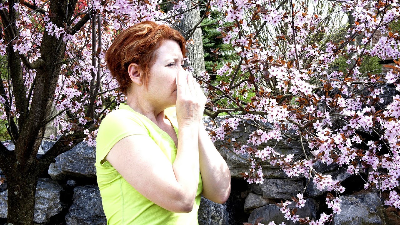 Worst Trees For Allergies