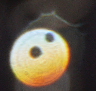 orange orb with hole pairs