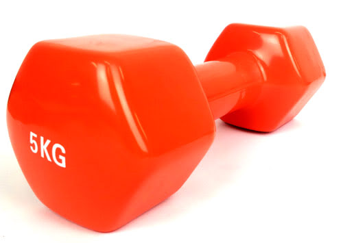 The Explanation About Vinyl Weights That Most Used Weight by Weightlifters and Bodybuilders