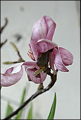 blog 15