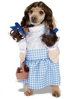 The Wizard Of Oz Dorothy Costume