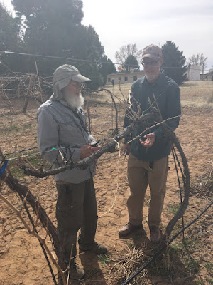 Dr. Kevin Lombard, Farmington ASC Superintendent, instructing a community member in the finer points of spur pruning of Vitis vinfera wine grapes. 