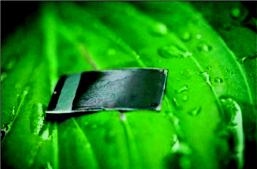 Journal Of Life 美國麻省理工學院的人工葉 太陽能 Mit Artificial Leaf