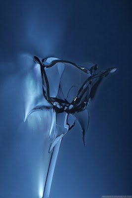 Glass Rose 3D Concept iPhone wallpapers,3D iphone wallpapers