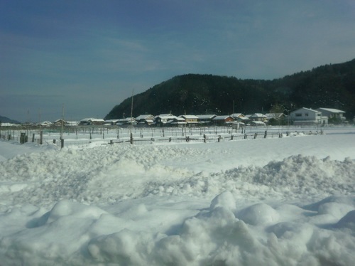P2020001.JPG