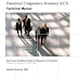 Emotional Competence Inventory (ECI)  Technical Manual  Hay Group  McClelland Center for Research and Innovation  Updated by Steven B. Wolff, DBA*   November 2005 