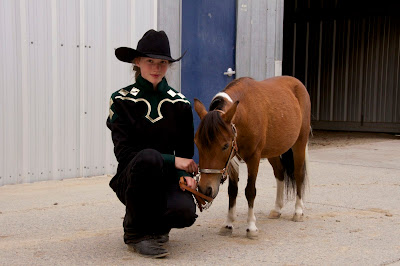 Angel Eyes, bay pinto American Miniature Horse