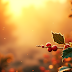 PC Wallpaper, Img651224