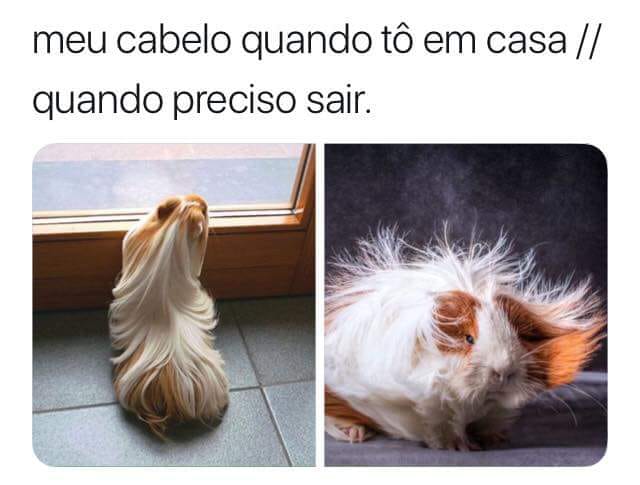 Memes engraçados