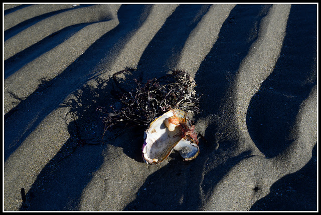 Sperry's Beach; Nova Scotia; Atlantic Maritimes