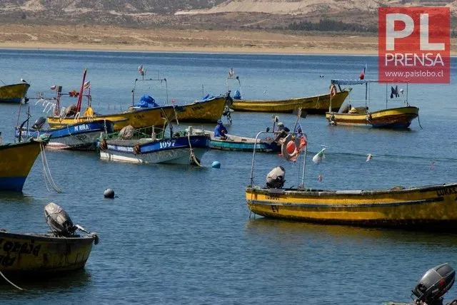 Chile: nuevo fraccionamiento entre la pesca artesanal e industrial