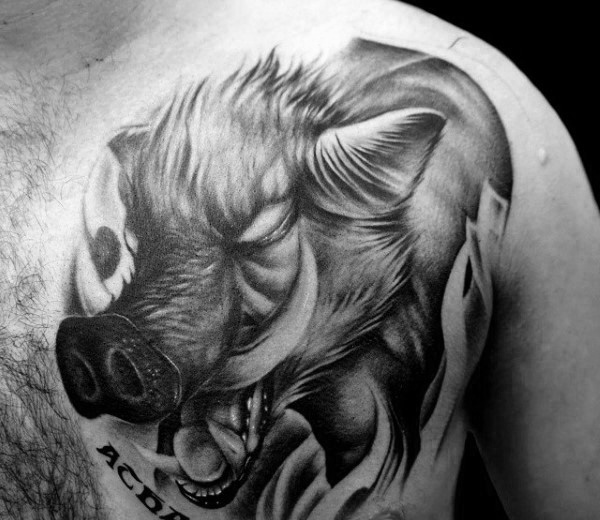 37 incríveis tatuagens de Javali para inspirar vocês!