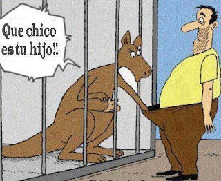 chiste