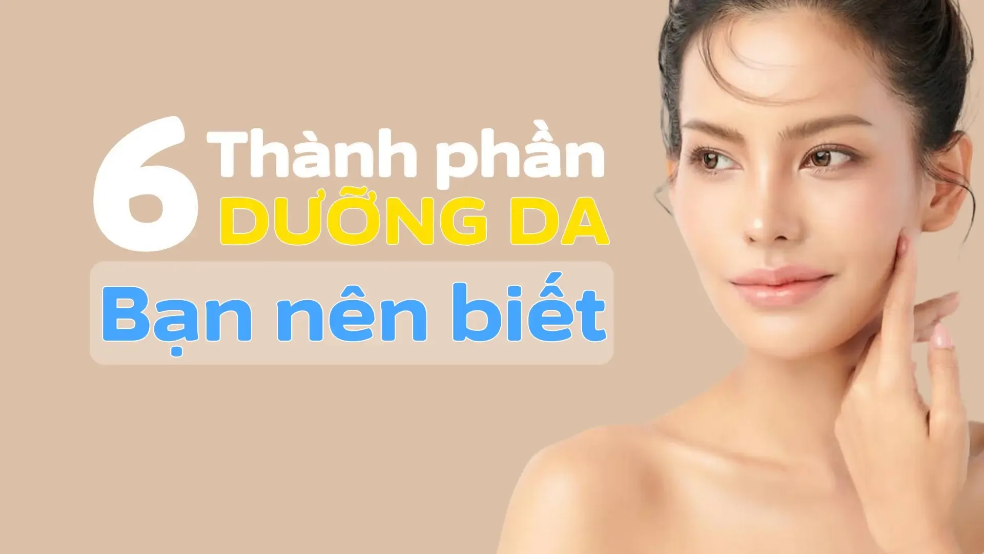 6-thanh-phan-duong-da