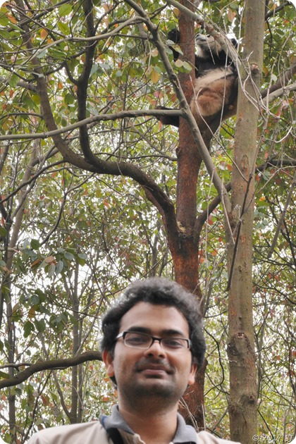 With a Panda at 'Chengdu Panda Reserve'
