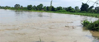 शारदा उफनाई, कई गांवों में घुसा बाढ़ का पानी | #NayaSaberaNetwork