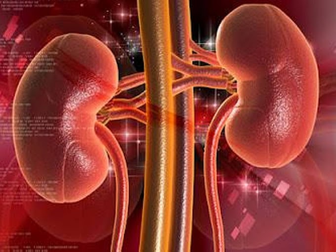 2.300 bolivianos están diagnosticados con insuficiencia renal