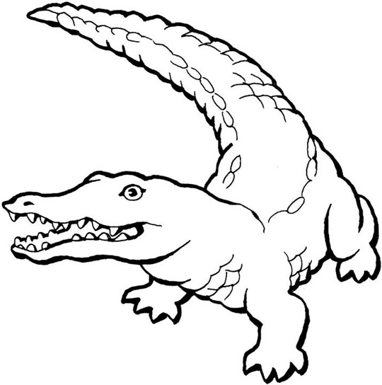 Animal Coloring Pages Online