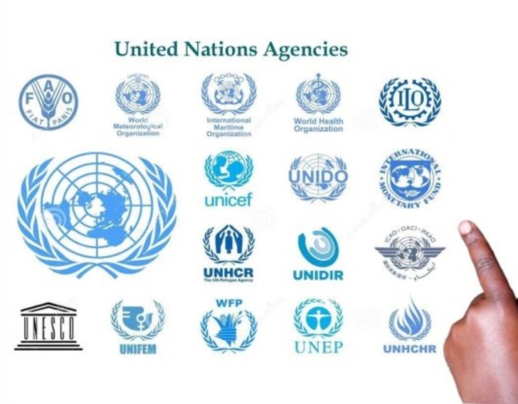 How to get a job in the United Nations