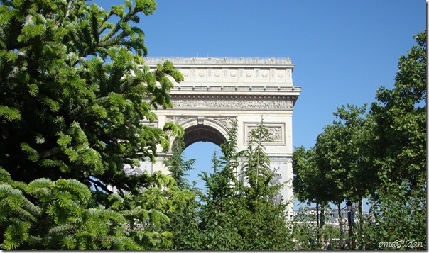 Les Champs 15