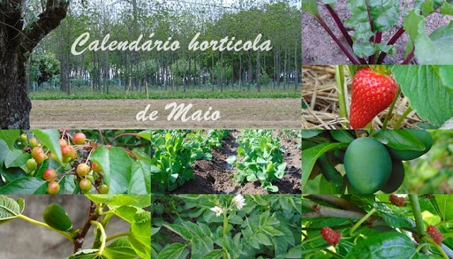 Calendário Agrícula de Maio