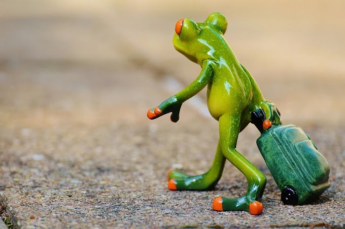 How to let go past? 