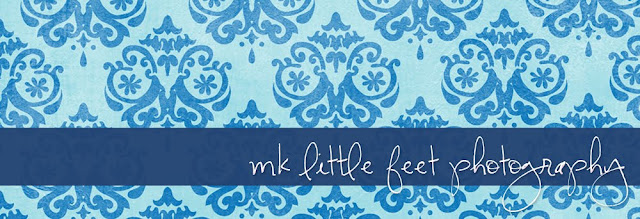 Little Feet Photography Blog Design