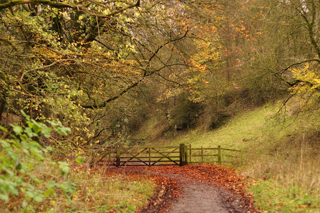 Tideswell Dale walking 