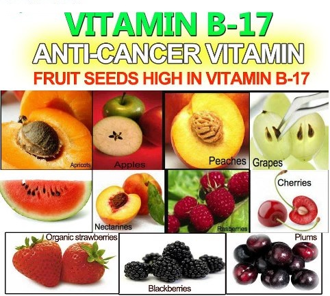  Yang praktis sekali ditemukan di sekitar Kita  6 Sumber Alami Vitamin B17 Yang praktis sekali ditemukan di sekitar Kita