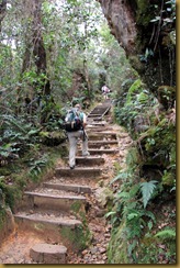 Mt Kinabalu (16) Mt Kinabalu (16)