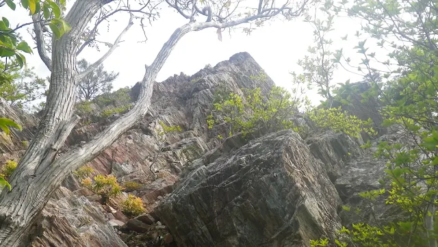 三辻山には岩登りコースがあります。　一応バリエーションルートになるのかな、、、楽しいですよ！！