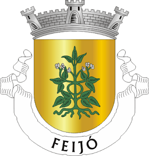 Feijó