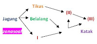 Soal Try Out 2 IPA Kelas 6 SD Terbaru Tahun Ajaran 2017/2018 