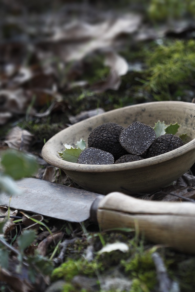 12 consejos para conservar y cocinar la trufa negra