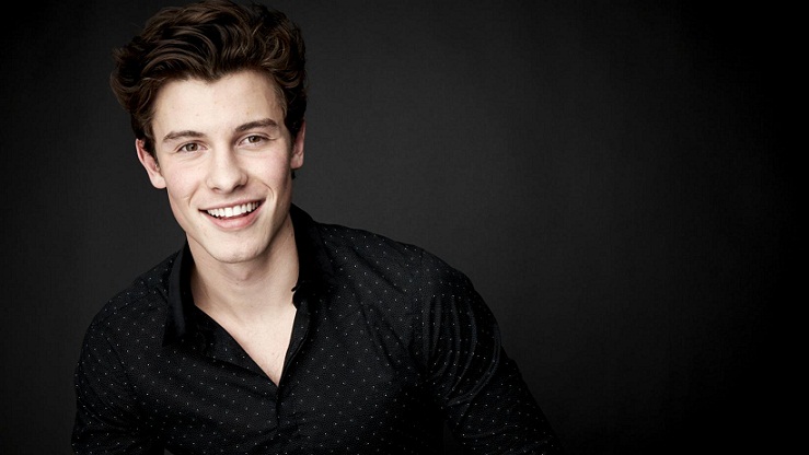 Terjemahan Lirik Lagu Because I Had You ~ Shawn Mendes