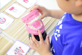 Dental Themed Unit: Primary and Permanent Teeth Development