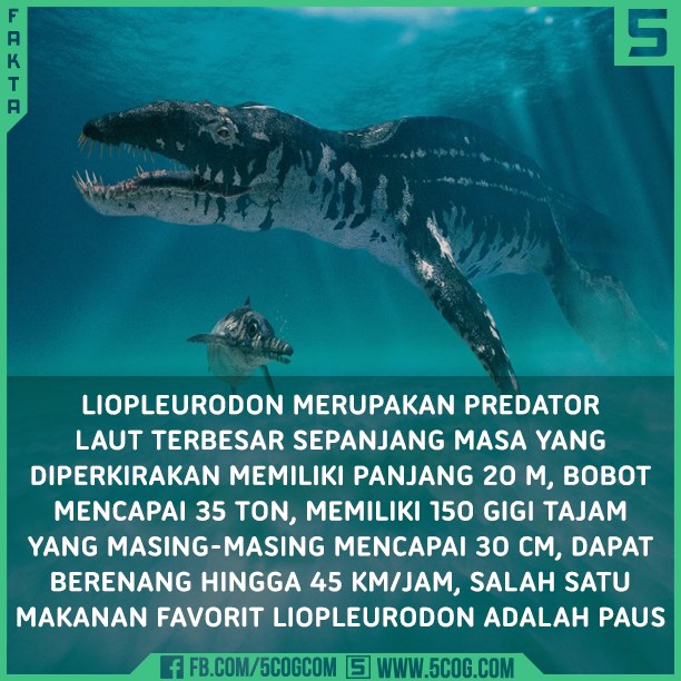 27+ Spesial Hewan Laut Purba Terbesar Di Dunia