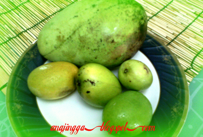 Kisah Buah Mangga 