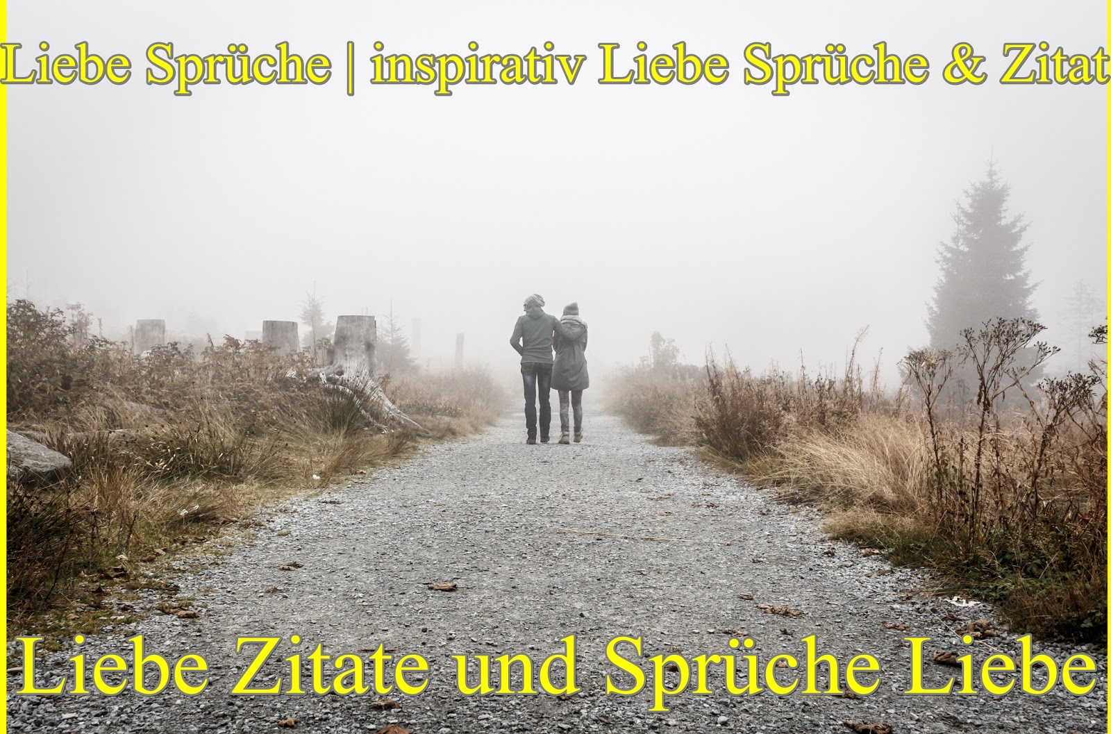 Hier sind einige Zitate Liebe und Liebe Sprüche