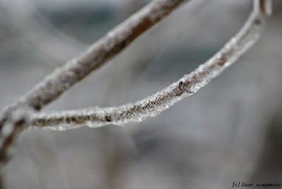 iarna-winter-ploaie inghetata-freezing rain