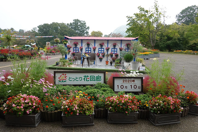 鳥取県西伯郡南部町鶴田　とっとり花回廊　エントランス展示