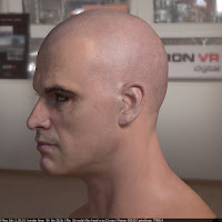 3d model Human head