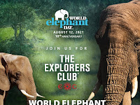 World Elephant Day - 12 August.