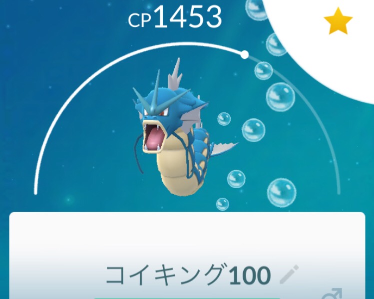 ポケモンgo 個体値100のコイキングを進化 最強のギャラドスの誕生 たろたろブログ