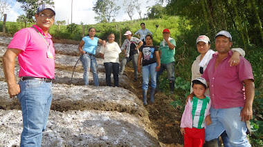 En Cedralito cultivan plantas medicinales con fines comerciales