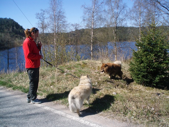 mere Skogtun 010