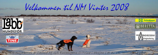 NM Vinter 2008